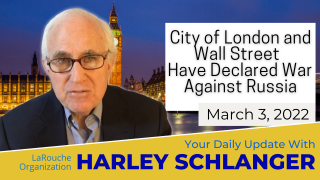 Harley Schlanger -- City of London and Wall St have declared war against Russia